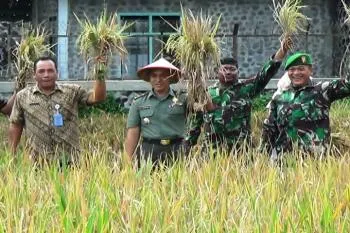 Kasdim 0821 dan UPT Pertanian Pasirian Gelar Pane Raya
